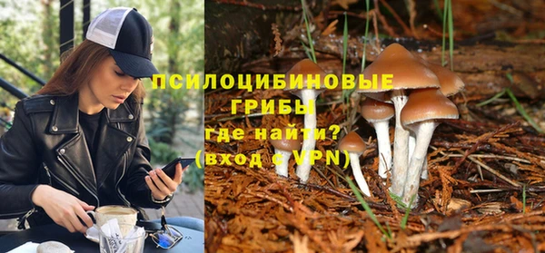 мдма Заводоуковск
