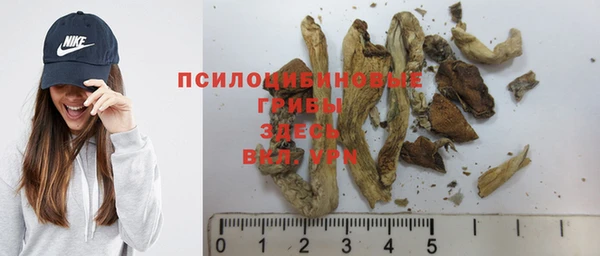 мдма Заводоуковск