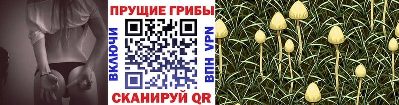 Галлюциногенные грибы мицелий  Купить где  Дмитровск 
